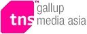   . TNS Gallup Media  "-"  indoor-